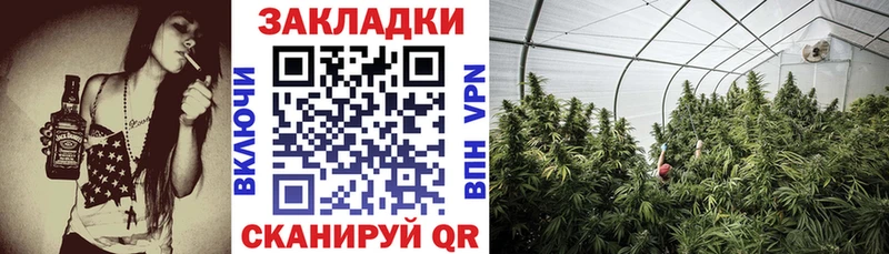 Виды наркоты Фрязино Псилоцибиновые грибы  АМФЕТАМИН  Гашиш  A-PVP  Бошки Шишки  Меф  Cocaine 