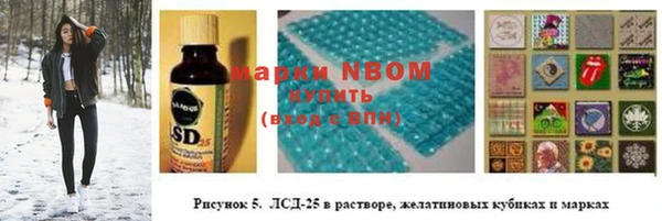 амф Протвино