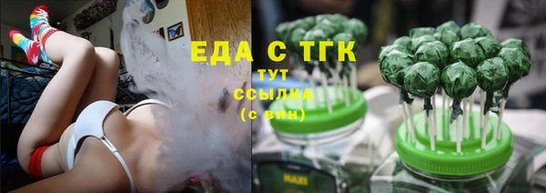 соль ск Новозыбков