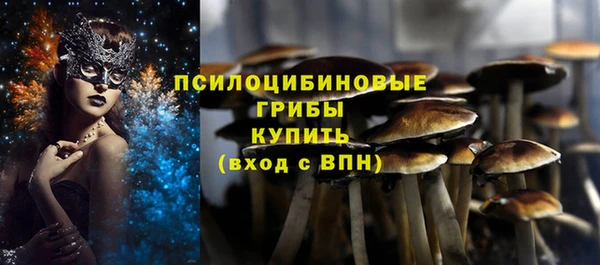амф Протвино