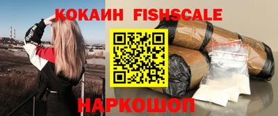 шишки Дубна