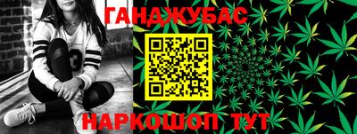 шишки Дубна