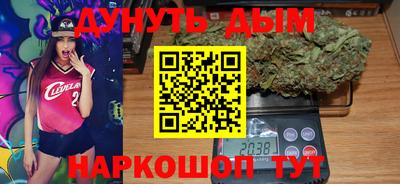 шишки Дубна