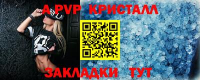 шишки Дубна