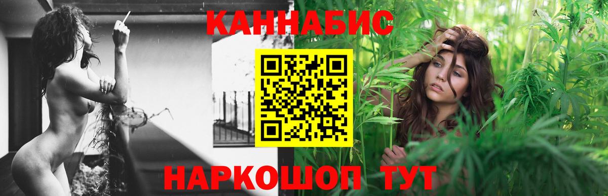 Каннабис сатива Фрязино